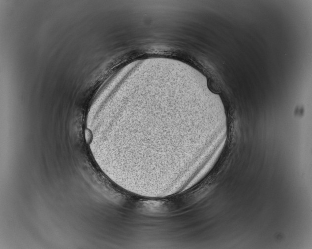 X0000115020265200911231257