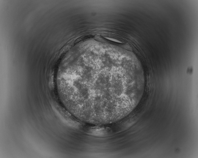 X0000115020267200911231257