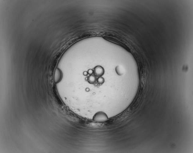 X0000115020270200911231257