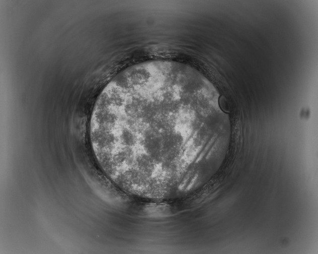 X0000115020271200911231257