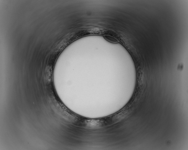 X0000115020273200911231257