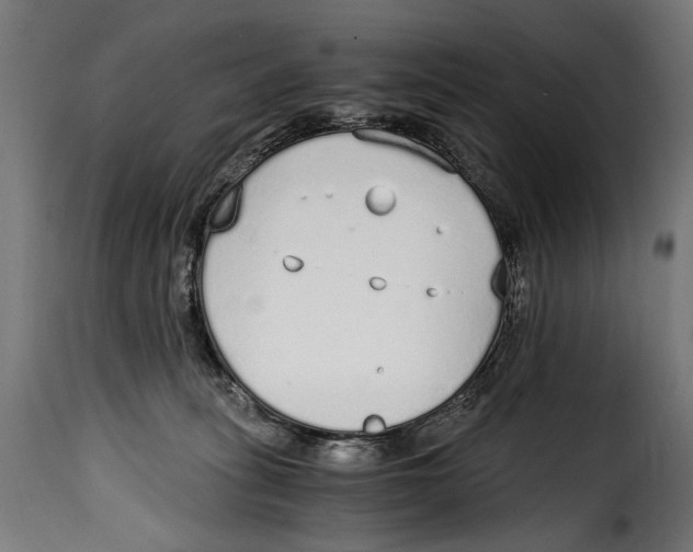 X0000115020275200911231257