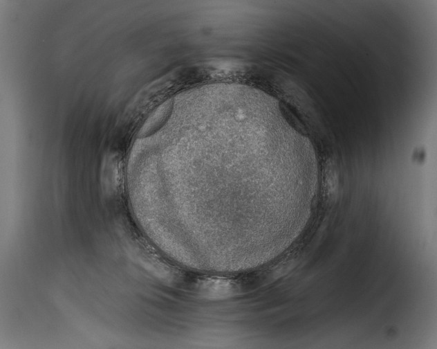 X0000115020276200911231257