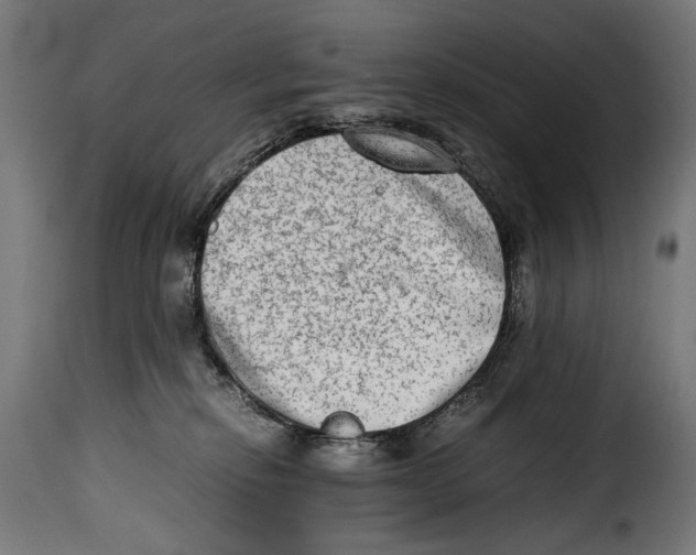 X0000115020278200911231257