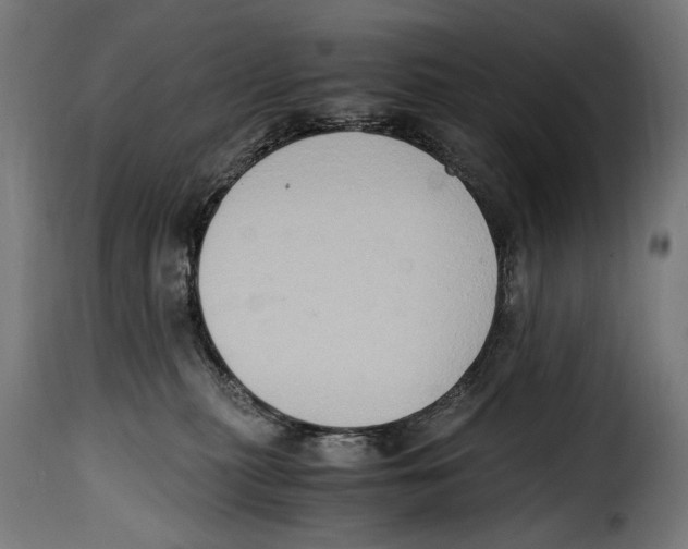 X0000115020279200911231257