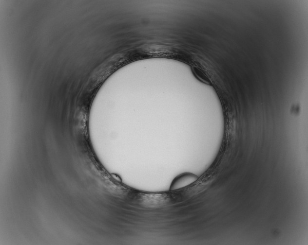 X0000115020281200911231257