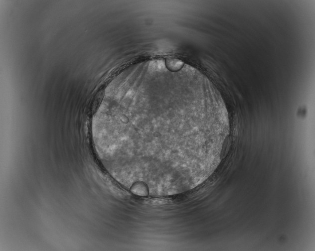 X0000115020282200911231257