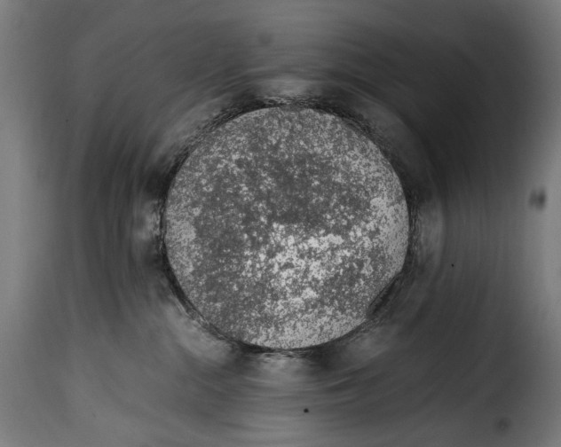 X0000115020284200911231257