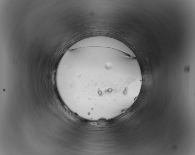 X0000115020286200911231257