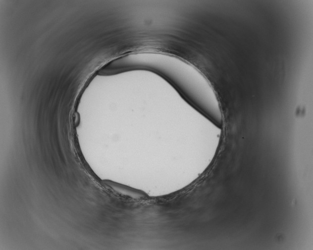 X0000115020289200911231257