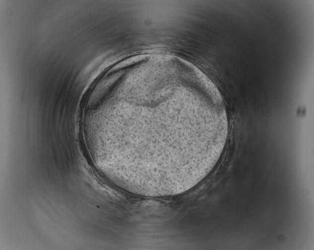 X0000115020290200911231257