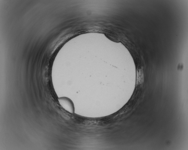 X0000115020291200911231257