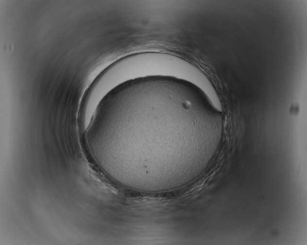 X0000115020292200911231257