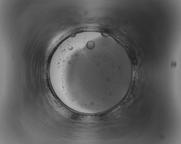 X0000115020293200911231257