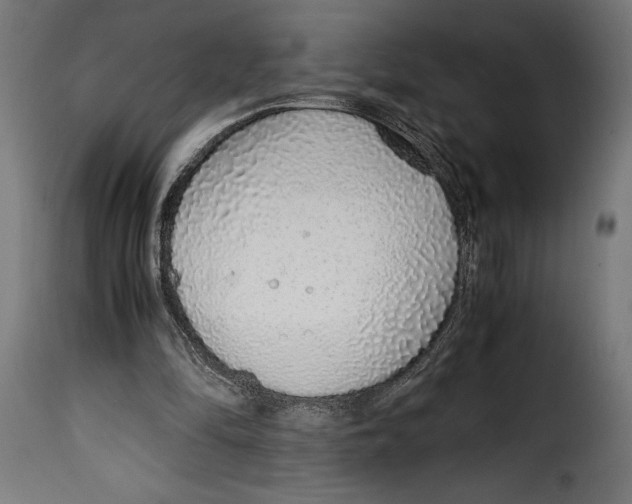 X0000115020294200911231256