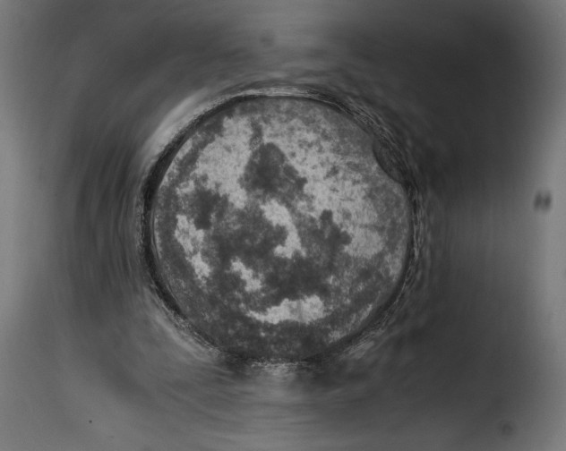 X0000115020295200911231256