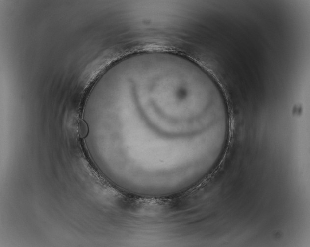 X0000115020297200911231256