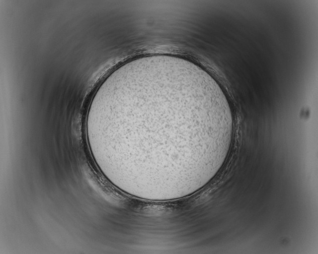 X0000115020298200911231256