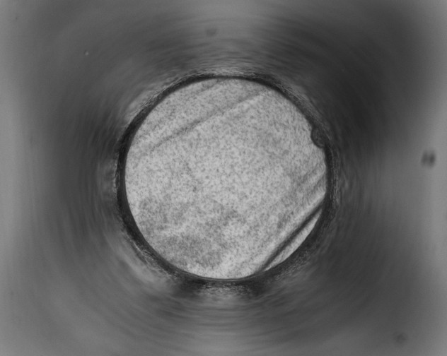 X0000115020299200911231256