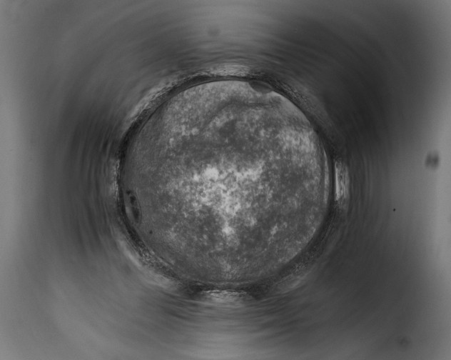 X0000115020300200911231256