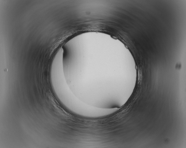 X0000115020301200911231256