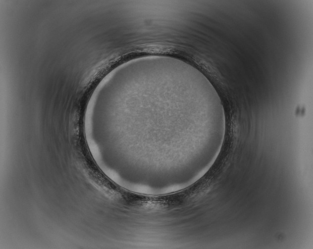 X0000115020303200911231256