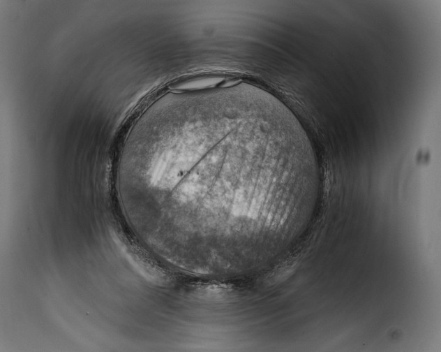 X0000115020304200911231256