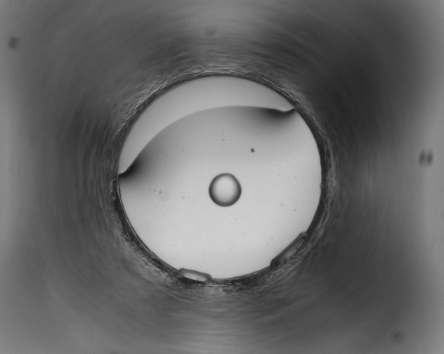 X0000115020305200911231256