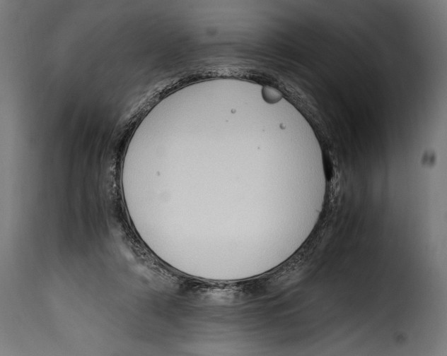 X0000115020306200911231256