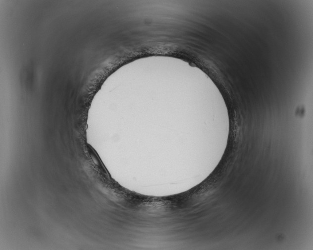 X0000115020307200911231256