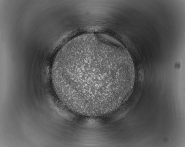 X0000115020308200911231256