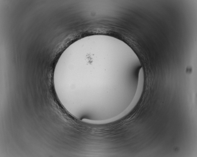 X0000115020309200911231256