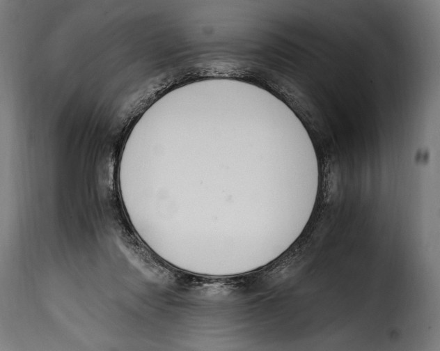 X0000115020310200911231256