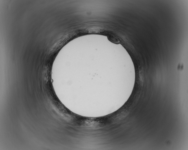 X0000115020311200911231256