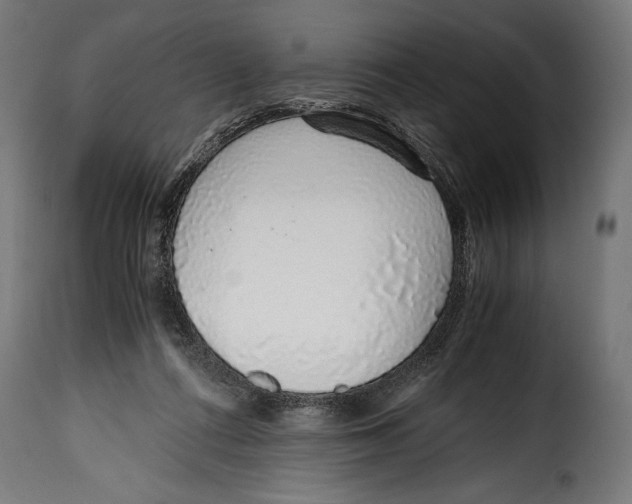 X0000115020312200911231256