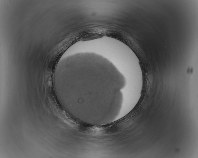 X0000115020313200911231256