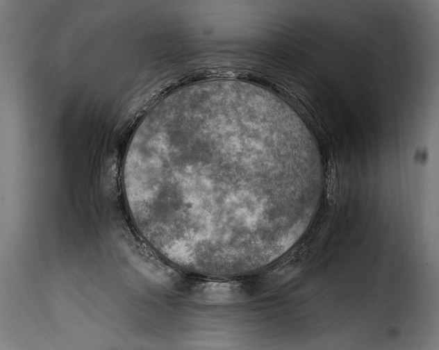 X0000115020314200911231256