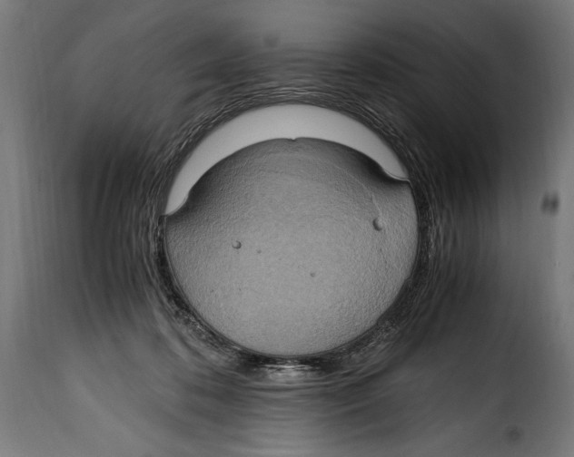 X0000115020316200911231256