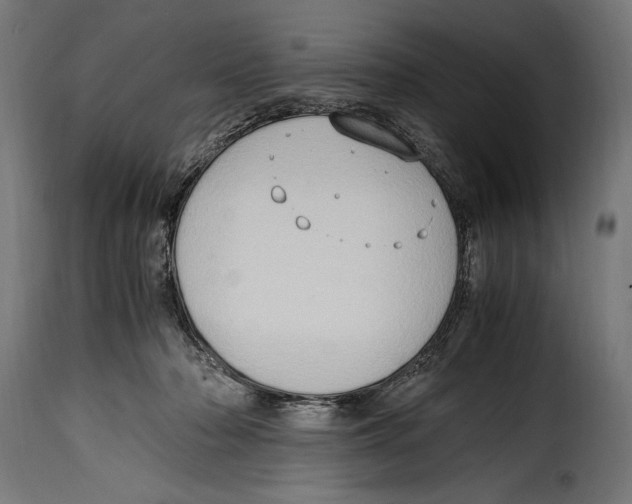 X0000115020318200911231256