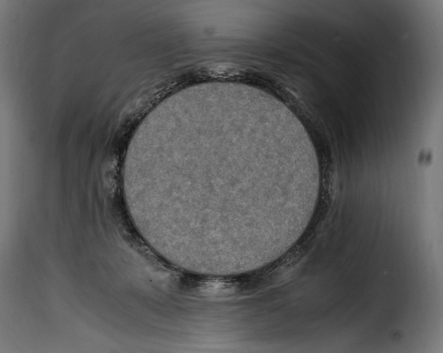 X0000115020319200911231256