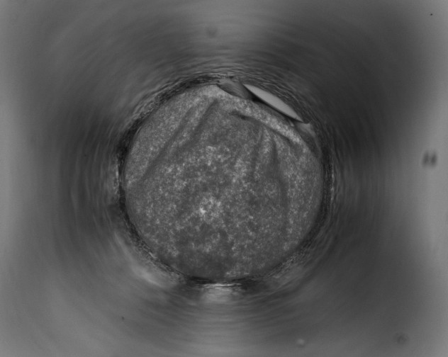 X0000115020320200911231256