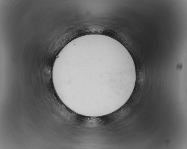 X0000115020321200911231256