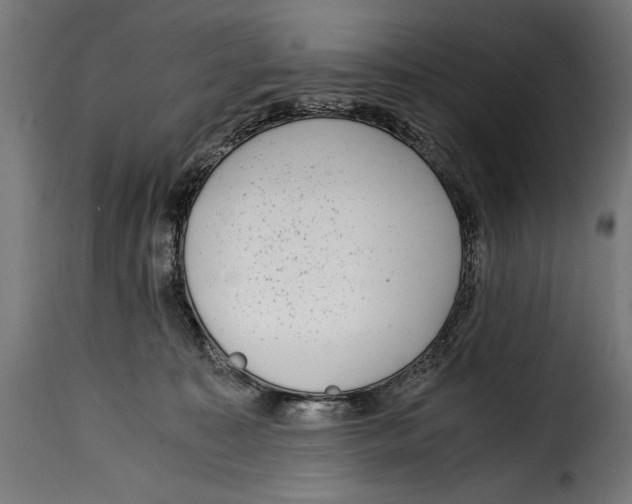 X0000115020323200911231256