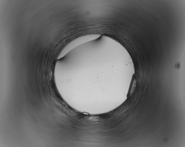 X0000115020324200911231256