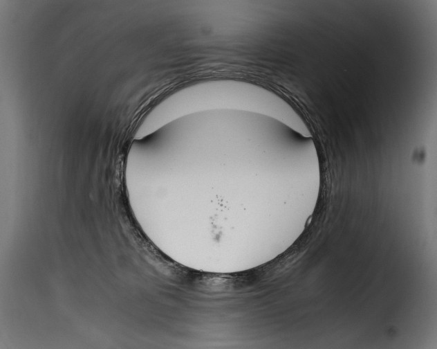 X0000115020325200911231256