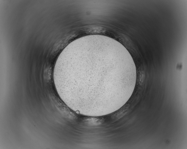 X0000115020326200911231256