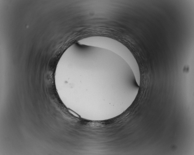 X0000115020327200911231256