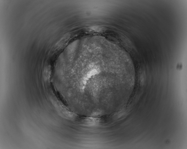 X0000115020328200911231256