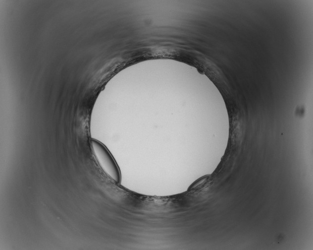 X0000115020329200911231256