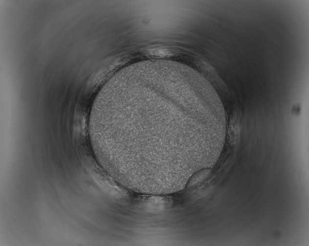 X0000115020330200911231256